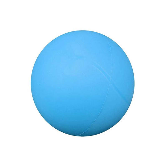 Hi-Density Foam Balls - Low Bounce - Blue - 200mm