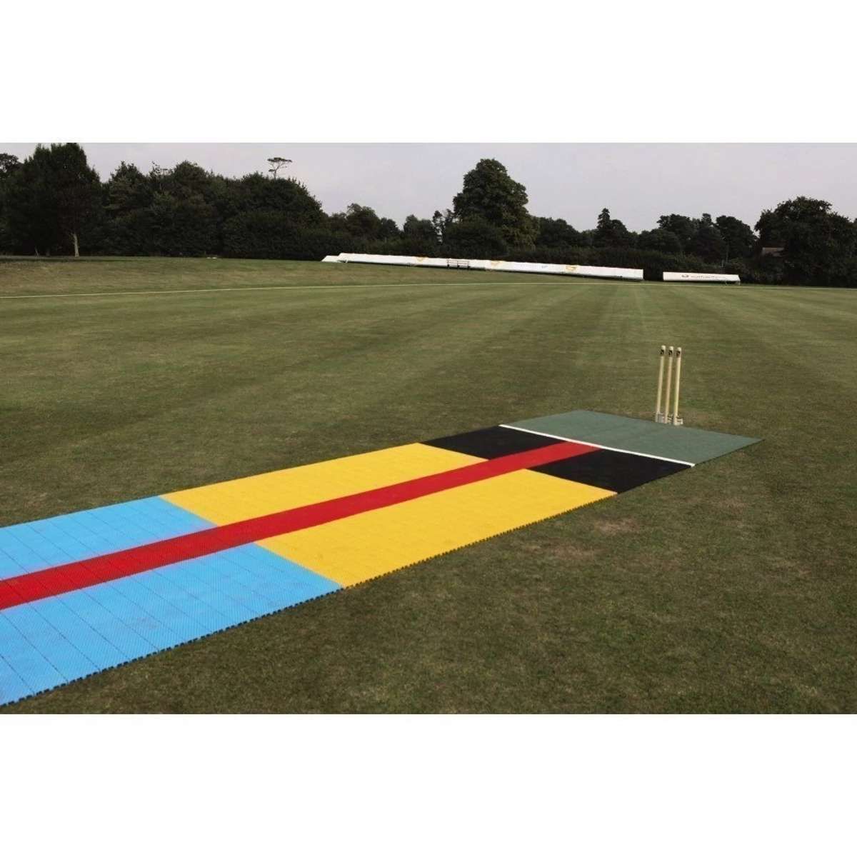 Flicx Eagle Eyed Pitch - Batting End