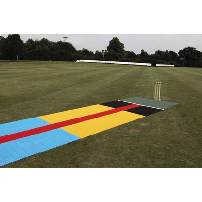 Flicx Eagle Eyed Pitch - Batting End