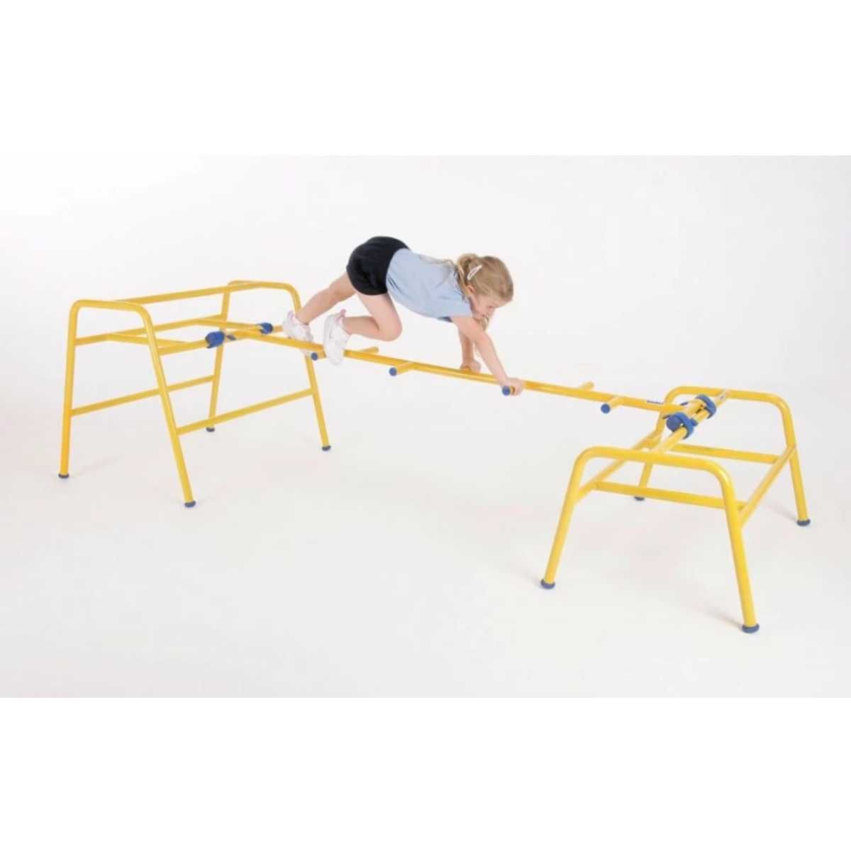 Gym Time Cat Ladder