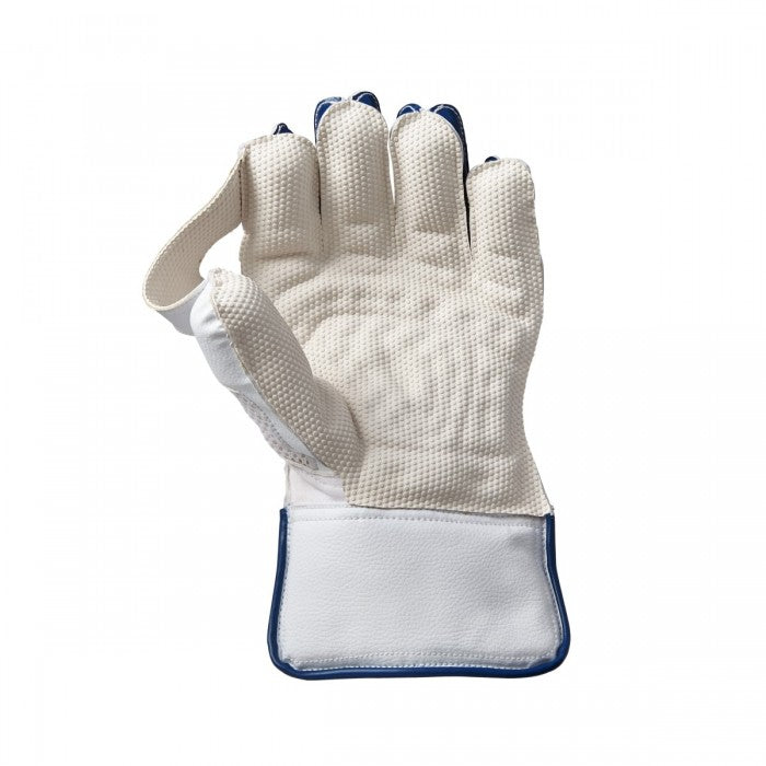 GM WICKET KEEPER GLOVES MANA