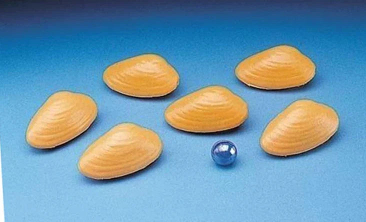 Pearl Diving Swimming Pool Fun Children Swim Game UK