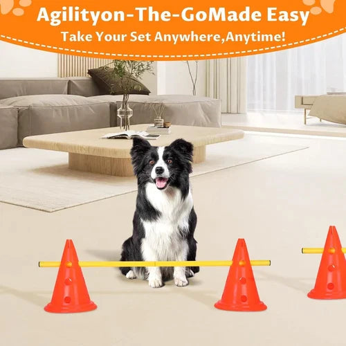 Best Dog Agility Set Jump Training Equipment Pets Jumping Hurdle Cones System !!