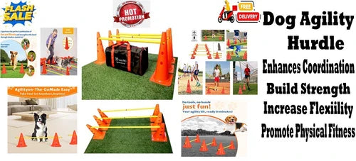 Best Dog Agility Set Jump Training Equipment Pets Jumping Hurdle Cones System !!
