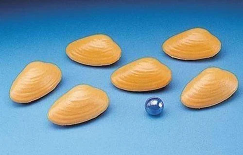 Underwater Diving Toys Dive Rings/Fish/Pearls Swimming Pool Toy Game Kids FUN